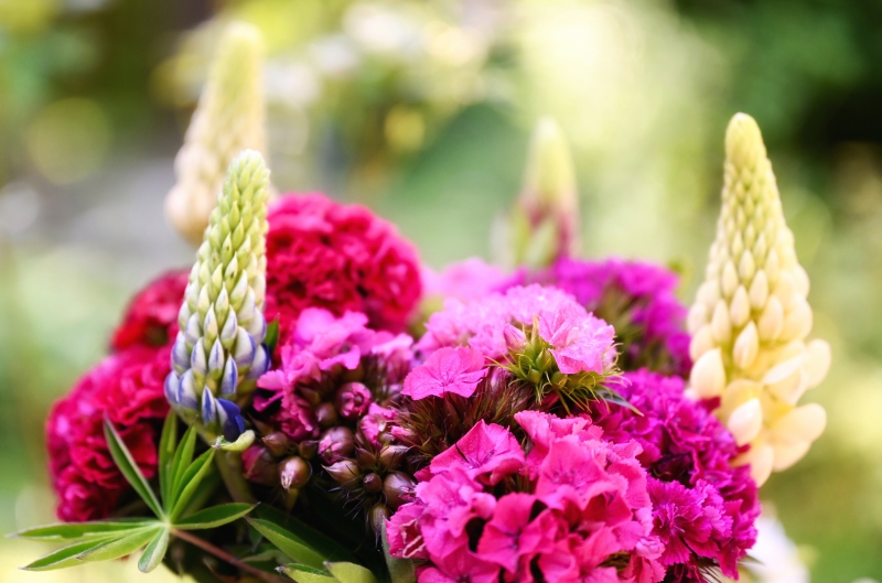 fleuriste-ST PAUL DE VENCE-min_flowers-5369794